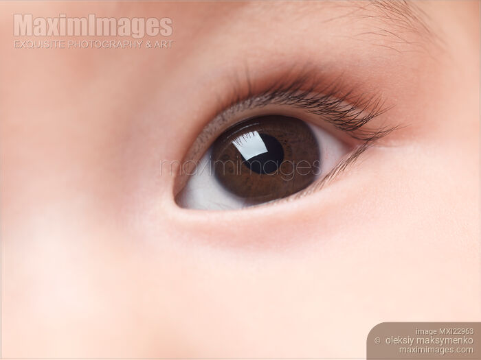 Stock photo of Closeup of a Baby's Eye Buy commercial use license at MaximImages