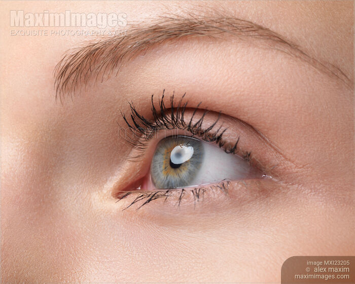 Closeup of a Woman's Eye Stock photo of Closeup of a Woman's Eye Buy commercial use license at MaximImages