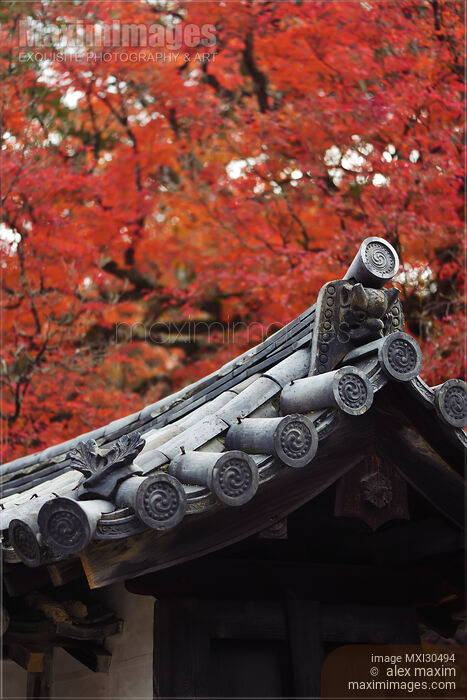 Stock photo of Closeup of Japanese roof tile Kawara ornament detail in autumn scenery Kyoto Japan Buy commercial use license at MaximImages