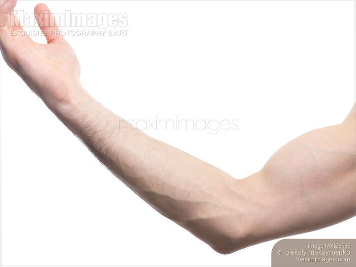 Closeup of male arm and elbow Stock photo of Closeup of male arm and elbow Buy commercial use license at MaximImages