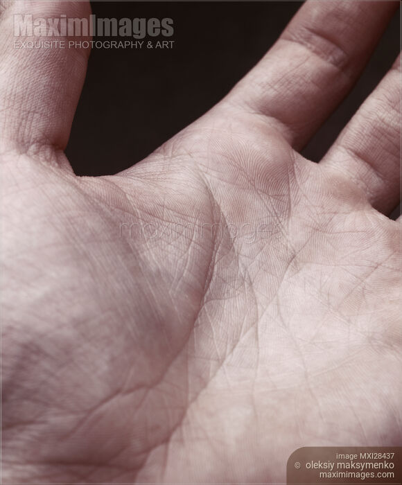 Closeup of skin on man palm Stock photo of Closeup of skin on man palm Buy commercial use license at MaximImages