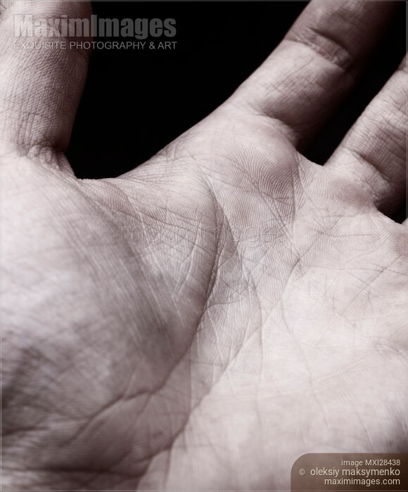 Stock photo of Closeup of skin on man palm Buy commercial use license at MaximImages