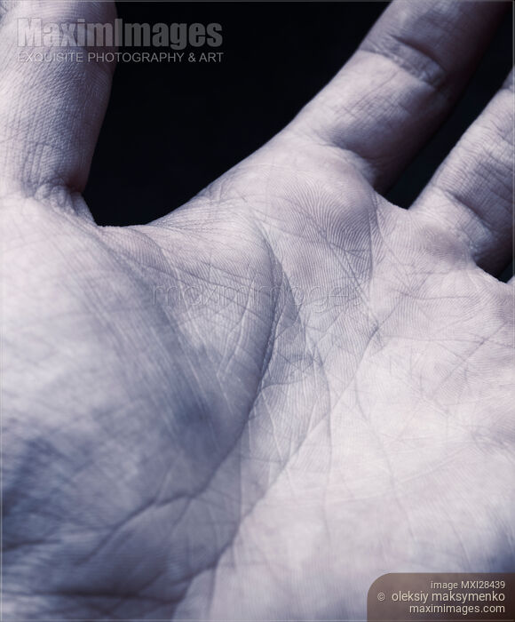 Closeup of skin on man palm Stock photo of Closeup of skin on man palm Buy commercial use license at MaximImages
