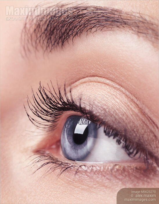 Stock photo of Closeup of woman blue eye with long eyelashes Buy commercial use license at MaximImages