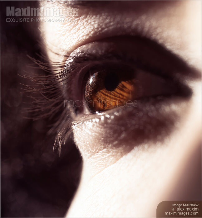 Stock photo of Closeup of woman brown eye Buy commercial use license at MaximImages