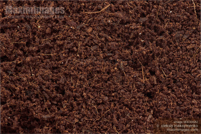 Stock photo of Coconut coir or Coco coir, growing media closeup texture Buy commercial use license at MaximImages