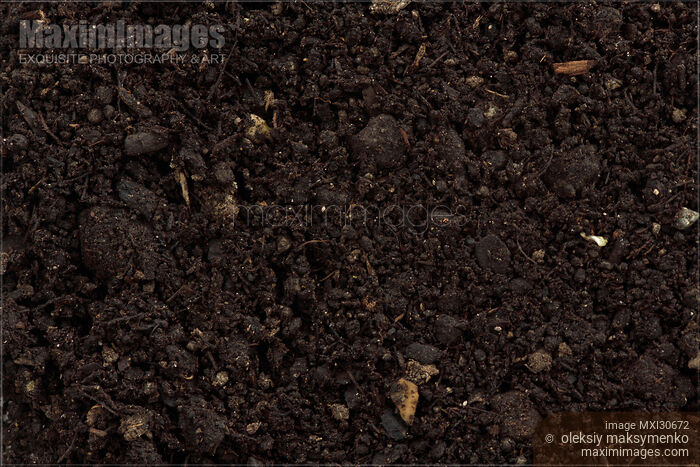 Stock photo of Compost organic fertilizer for soil closeup detail Buy commercial use license at MaximImages