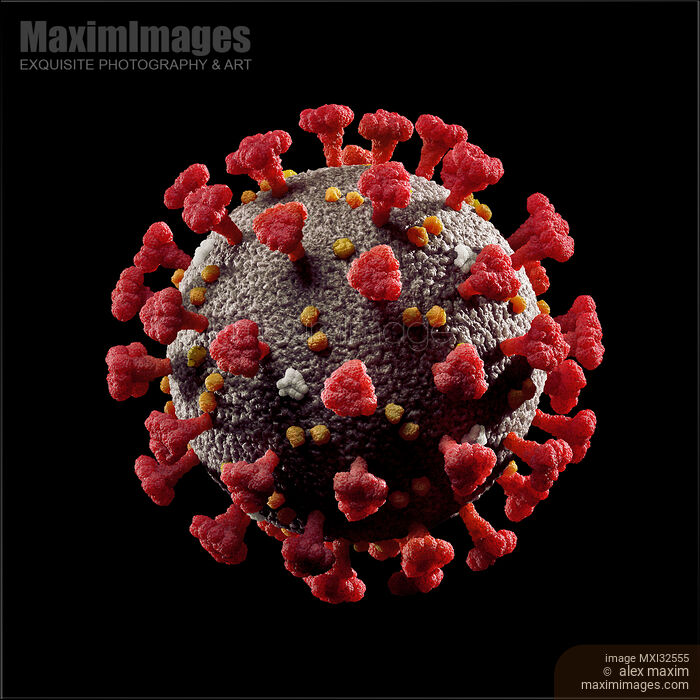 Coronavirus COVID-19 virus particle 3D illustration isolated on black Stock image of Coronavirus COVID-19 virus particle 3D illustration isolated on black Buy commercial use license at MaximImages