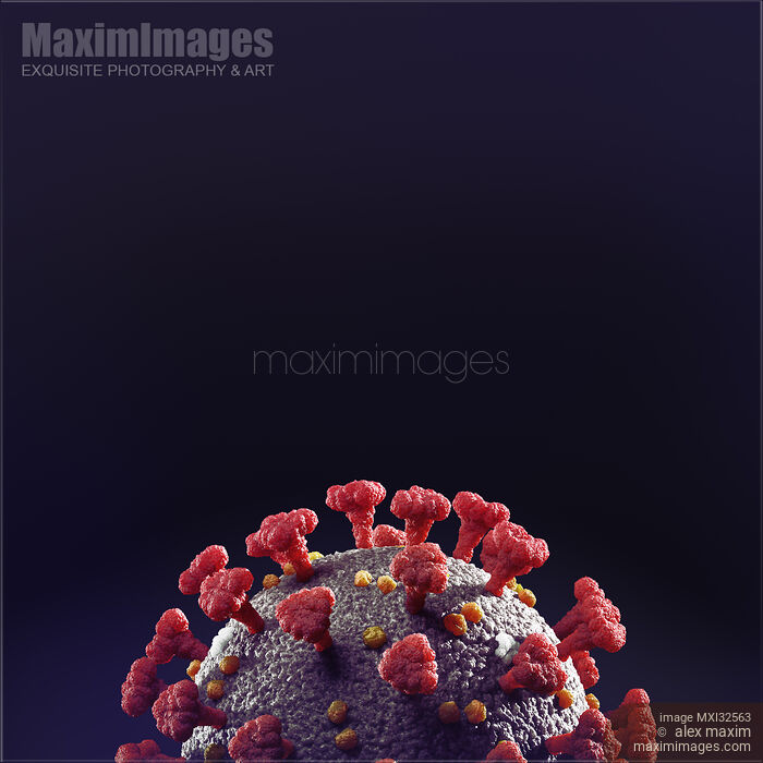 Stock image of Coronavirus COVID-19 virus particle on black background scientific color 3D illustration Buy commercial use license at MaximImages