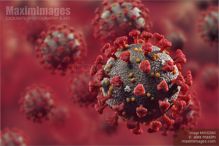 Stock image of Coronavirus COVID-19 virus particles in red blood stream medical 3D illustration Buy commercial use license at MaximImages