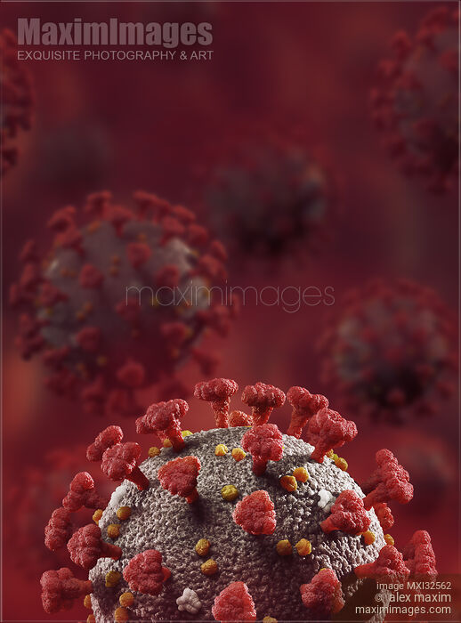 Coronavirus COVID-19 virus particles on dark red background medical 3D illustration Stock image of Coronavirus COVID-19 virus particles on dark red background medical 3D illustration Buy commercial use license at MaximImages