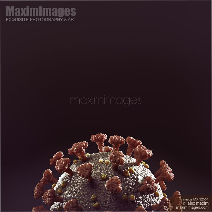 Coronavirus COVID19 virus particle on black background medical 3D illustration Stock image of Coronavirus COVID19 virus particle on black background medical 3D illustration Buy commercial use license at MaximImages
