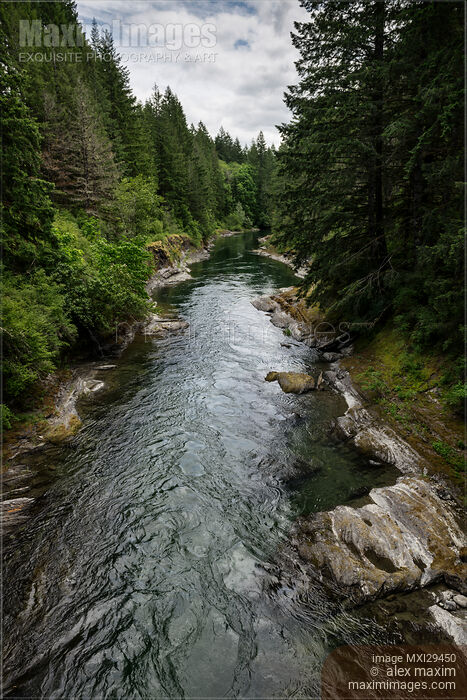 Cowichan River Vancouver Island Stock photo of Cowichan River Vancouver Island Buy commercial use license at MaximImages