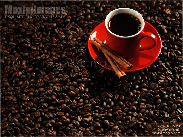 Cup of Coffe on Coffee Beans Stock photo of Cup of Coffe on Coffee Beans Buy commercial use license at MaximImages