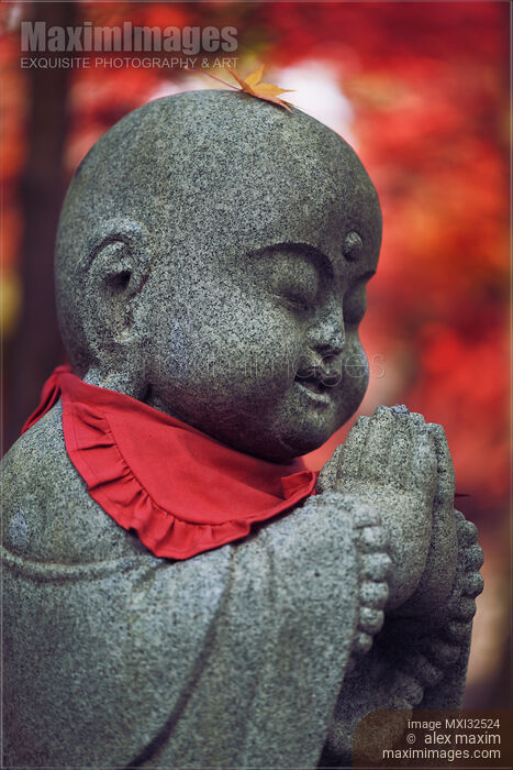 Stock photo of Cute Baby Buddha with a fallen maple leaf on his head stone statue in autumn scenery in Kyoto Buy commercial use license at MaximImages