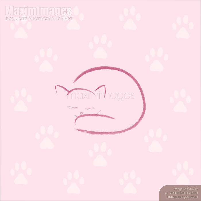Stock image of Cute curled up sleeping cat artistic illustration with white paw prints on pink background Buy commercial use license at MaximImages