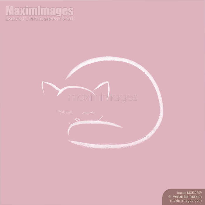 Cute curled-up sleeping kitty illustration on pink background Stock image of Cute curled-up sleeping kitty illustration on pink background Buy commercial use license at MaximImages