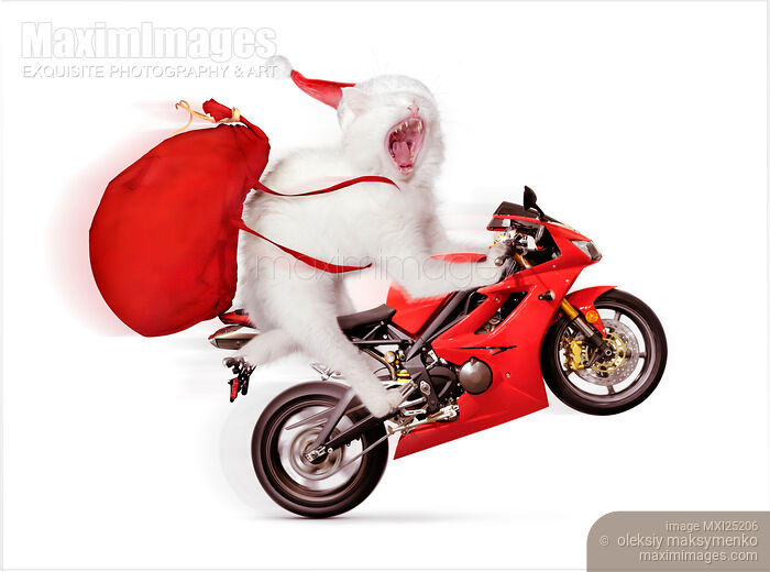Cute kitty Santa on motorcycle with bag of Christmas presents