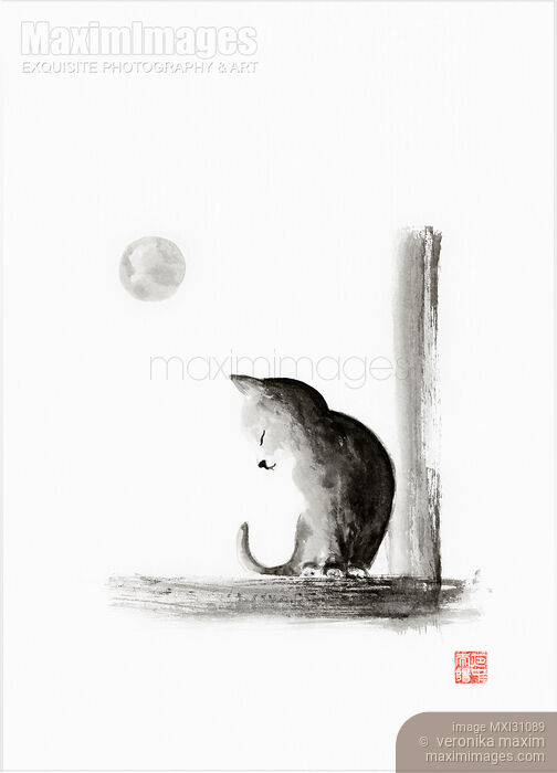Stock image of Cute little kitten sitting on the window in the light of the full moon Buy commercial use license at MaximImages