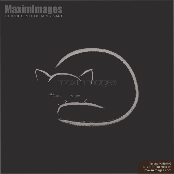 Cute snuggled sleeping cat art design on black background Stock image of Cute snuggled sleeping cat art design on black background Buy commercial use license at MaximImages