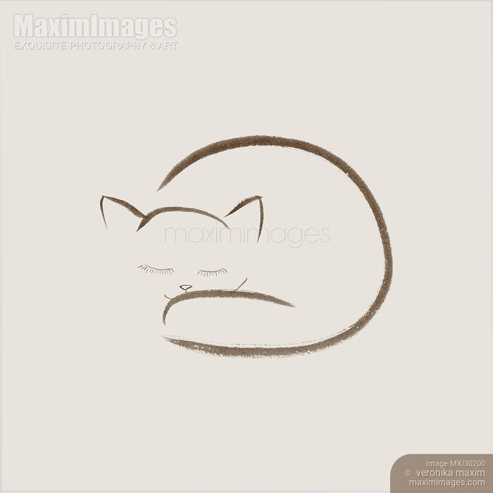 Cute snuggled sleeping cat illustration design on light beige background Stock image of Cute snuggled sleeping cat illustration design on light beige background Buy commercial use license at MaximImages