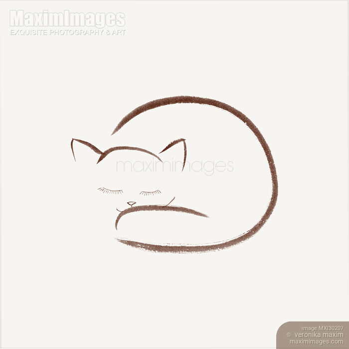 Cute snuggled sleeping cat illustration design on light beige background Stock image of Cute snuggled sleeping cat illustration design on light beige background Buy commercial use license at MaximImages