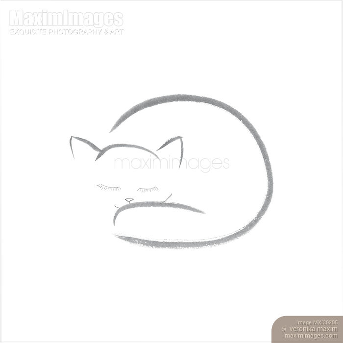 Cute snuggly sleeping cat illustration design on white background Stock image of Cute snuggly sleeping cat illustration design on white background Buy commercial use license at MaximImages