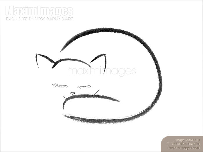 Cute snuggly sleeping cat illustration on white background Stock image of Cute snuggly sleeping cat illustration on white background Buy commercial use license at MaximImages
