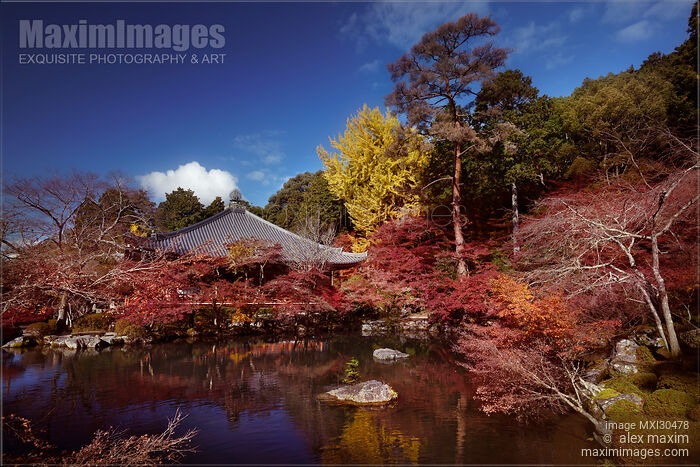 Daikodo hall with a pond at Daigo-ji temple in colorful autumn scenery Kyoto Japan Stock photo of Daikodo hall with a pond at Daigo-ji temple in colorful autumn scenery Kyoto Japan Buy commercial use license at MaximImages