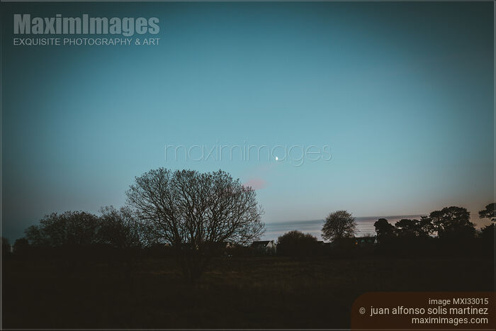 Stock photo of Dark silhouettes of residential houses and trees in dramatic nighttime town suburb skyline scenery Buy commercial use license at MaximImages