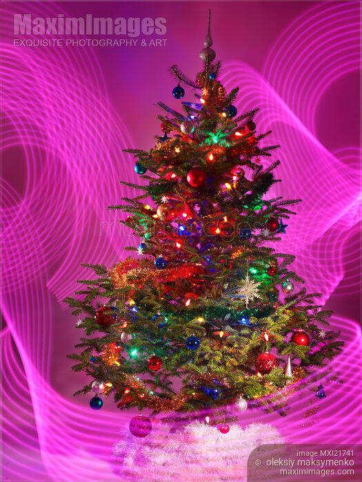 Stock photo of Decorated Christmas Tree Buy commercial use license at MaximImages