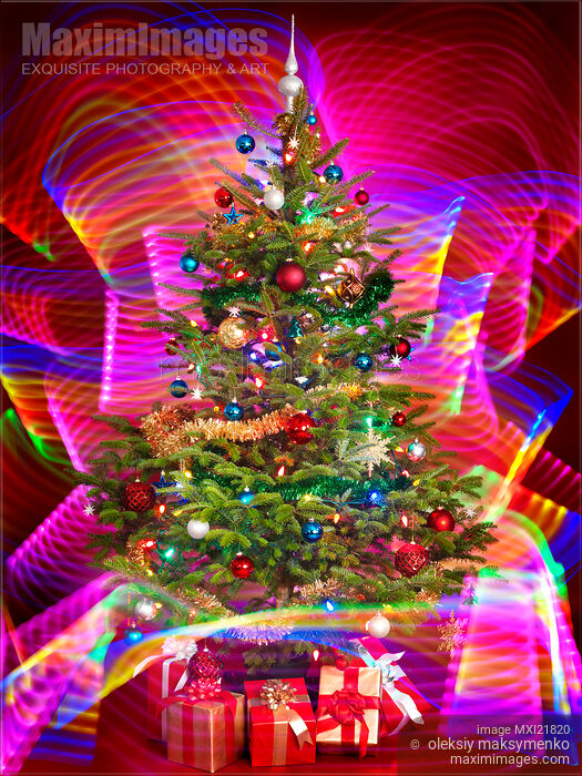 Decorated Christmas Tree Stock photo of Decorated Christmas Tree Buy commercial use license at MaximImages
