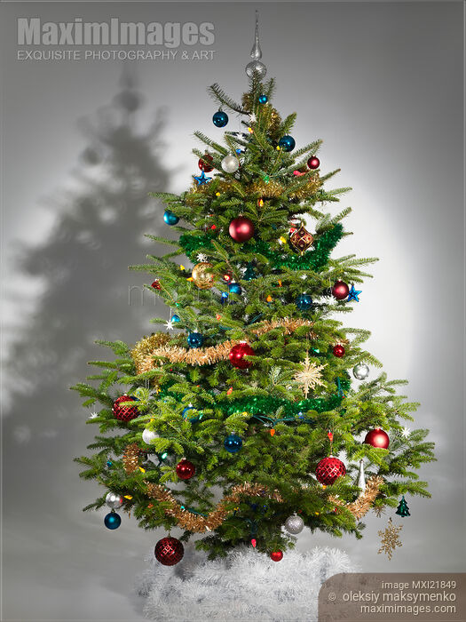 Stock photo of Decorated Christmas Tree Buy commercial use license at MaximImages
