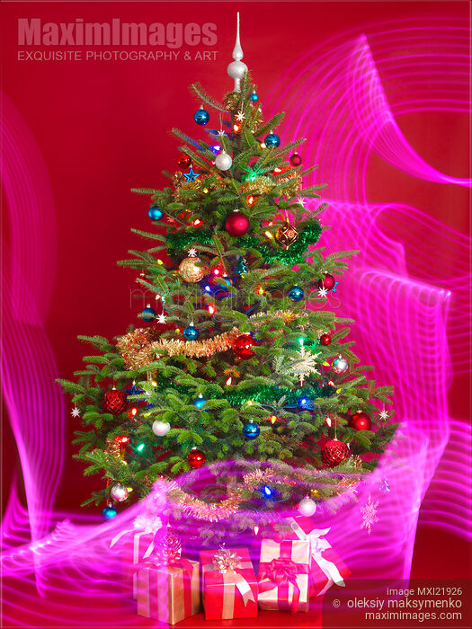 Decorated Christmas Tree Stock photo of Decorated Christmas Tree Buy commercial use license at MaximImages