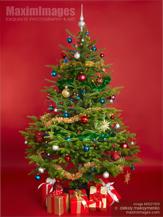 Decorated Christmas Tree Stock photo of Decorated Christmas Tree Buy commercial use license at MaximImages