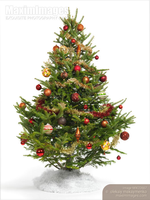 Decorated Christmas Tree Stock photo of Decorated Christmas Tree Buy commercial use license at MaximImages