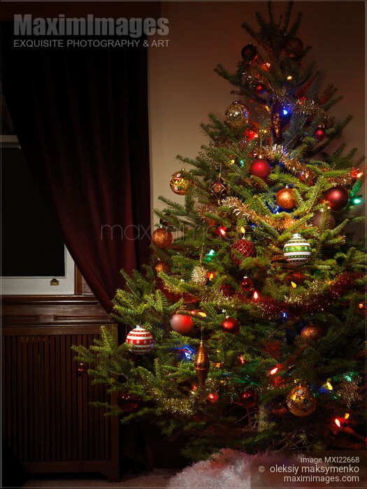 Stock photo of Decorated Christmas Tree Buy commercial use license at MaximImages