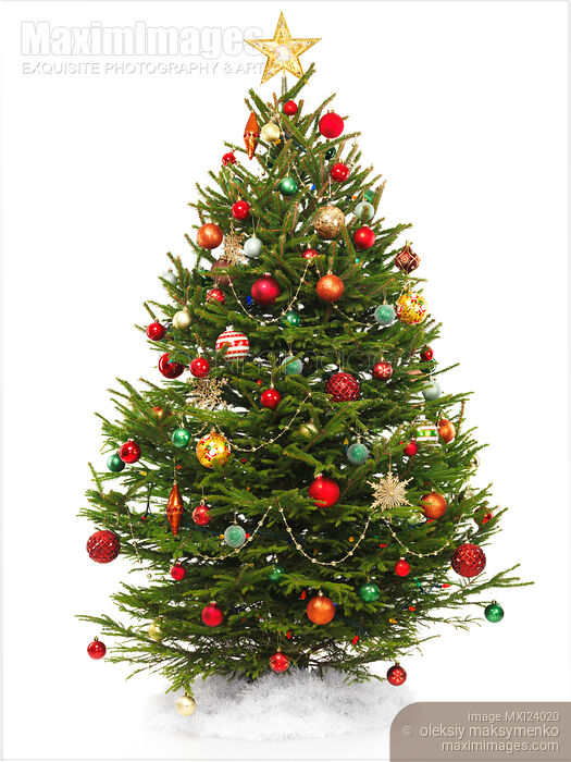 Decorated Christmas tree isoalted on white Stock photo of Decorated Christmas tree isoalted on white Buy commercial use license at MaximImages