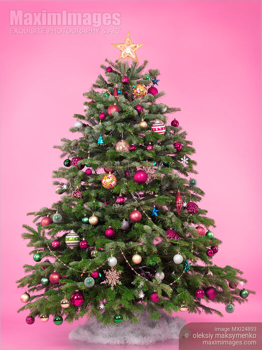 Stock photo of Decorated Christmas tree on pink Buy commercial use license at MaximImages