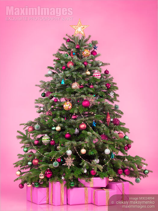 Stock photo of Decorated Christmas tree with presents on pink Buy commercial use license at MaximImages