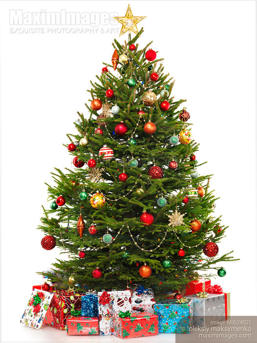 Decorated Christmas tree with presents under it Stock photo of Decorated Christmas tree with presents under it Buy commercial use license at MaximImages