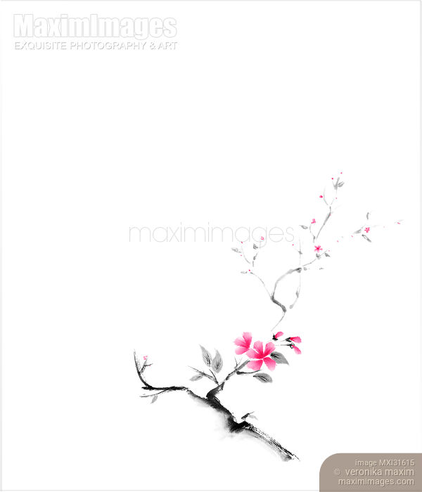 Stock image of Delicate minimalistic sakura branch with pink flowers sumi-e oriental artwork Buy commercial use license at MaximImages