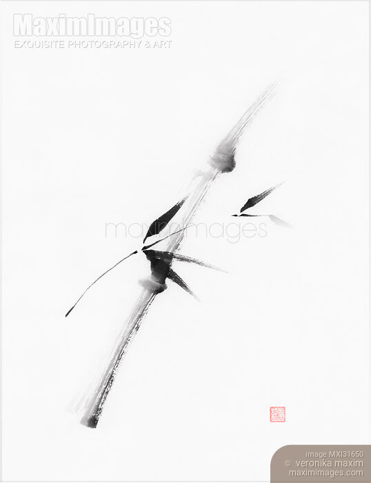 Delicate sumi-e black ink painting of a bamboo branch with leaves Stock image of Delicate sumi-e black ink painting of a bamboo branch with leaves Buy commercial use license at MaximImages