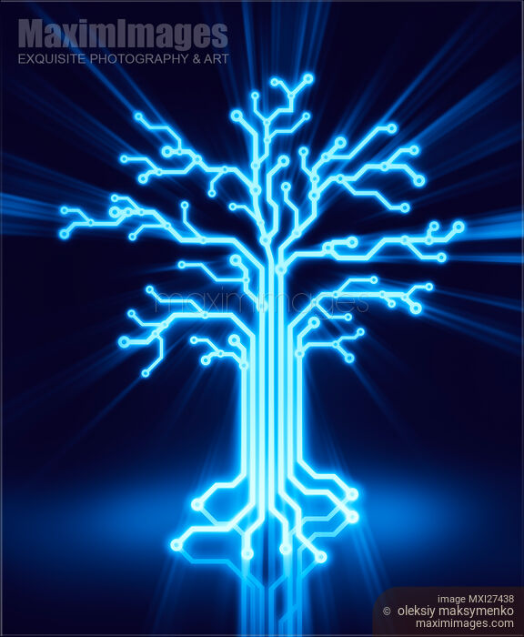 Stock image of Digital tree made of glowing circuits Buy commercial use license at MaximImages