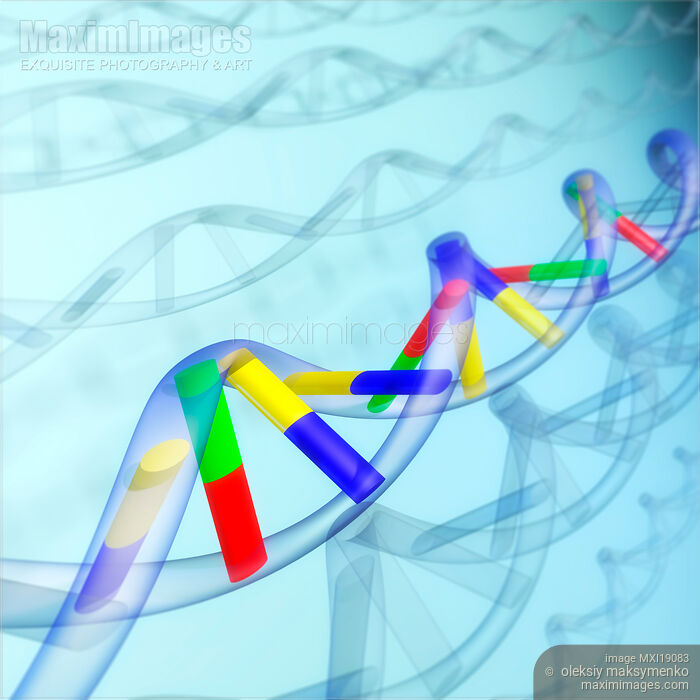 DNA Stock image of DNA Buy commercial use license at MaximImages