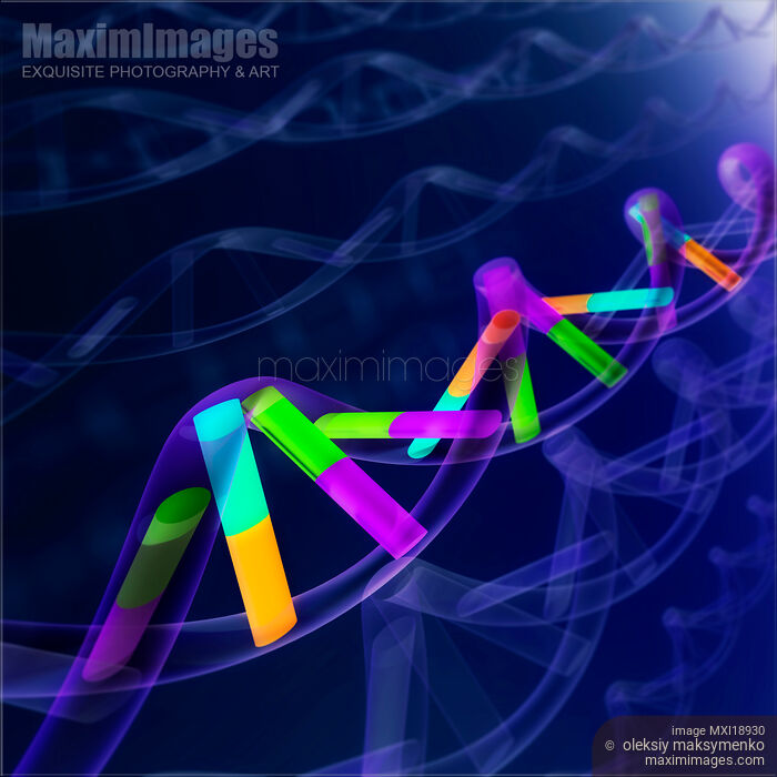 Stock image of DNA sequence Buy commercial use license at MaximImages