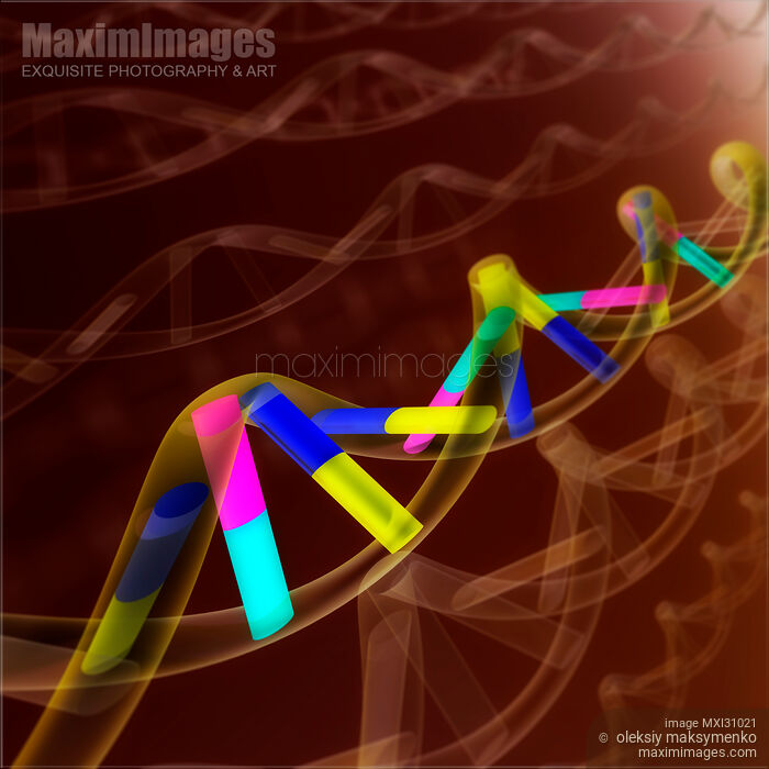 DNA sequence illustration Stock image of DNA sequence illustration Buy commercial use license at MaximImages