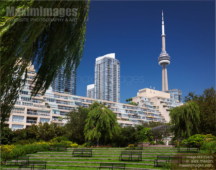 Stock photo of Downtown Toronto Queens Quay luxury condos and CN tower Buy commercial use license at MaximImages