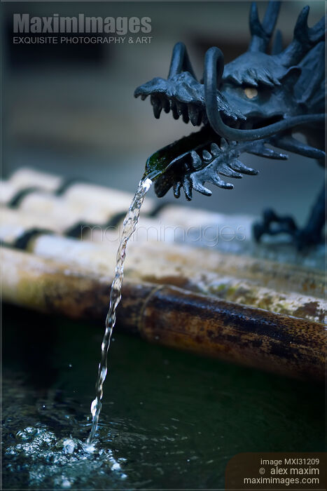 Dragon head Chozubachi water cleansing wash basin at a shrine in Japan Stock photo of Dragon head Chozubachi water cleansing wash basin at a shrine in Japan Buy commercial use license at MaximImages
