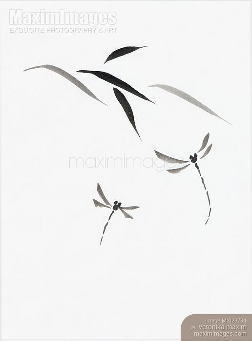 Stock image of Dragonflies and bamboo leaves Japanese Zen Sumi-e painting on white rice paper Buy commercial use license at MaximImages